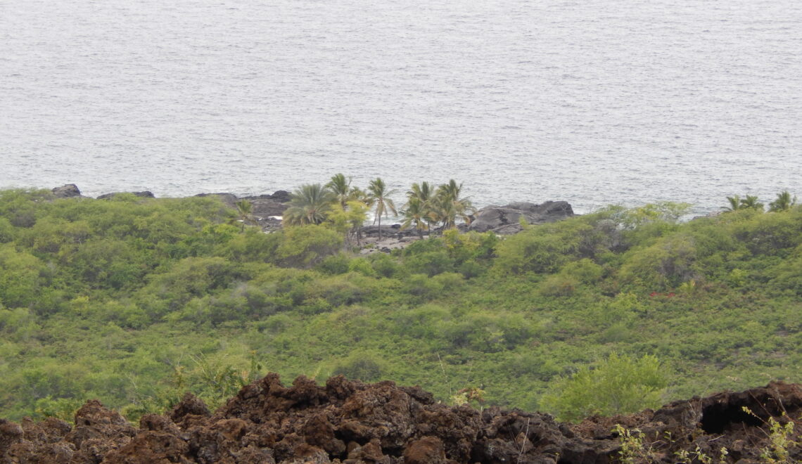 Kealakekua Bay in the distance, Hawaii